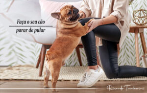Faça o seu cão parar de pular