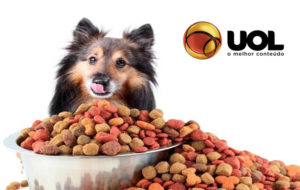 Seu cão come muito ou rápido demais? Saiba como ajudá-lo!