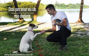 Especialista da dicas para deixar seu cão mais obediente