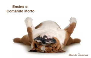 Comando morto