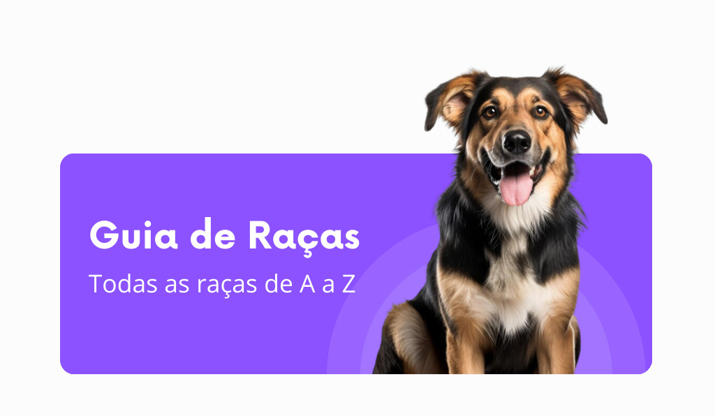 Raças de cachorro: guia completo das raças