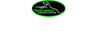 Logo - Ricardo Tamborini 2025