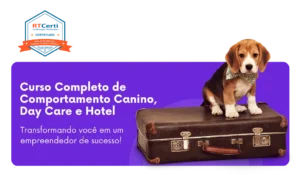 cursos de adestramento e comportamento, Curso Completo de Comportamento Canino Day Care e Hotel