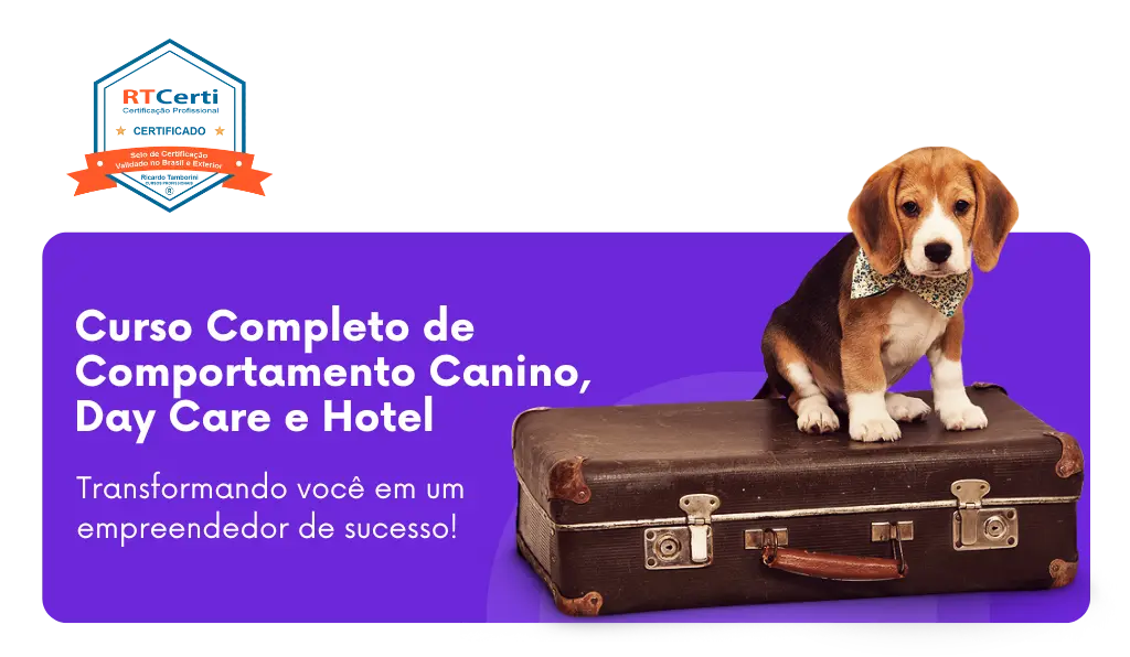 cursos de adestramento e comportamento, Curso Completo de Comportamento Canino Day Care e Hotel