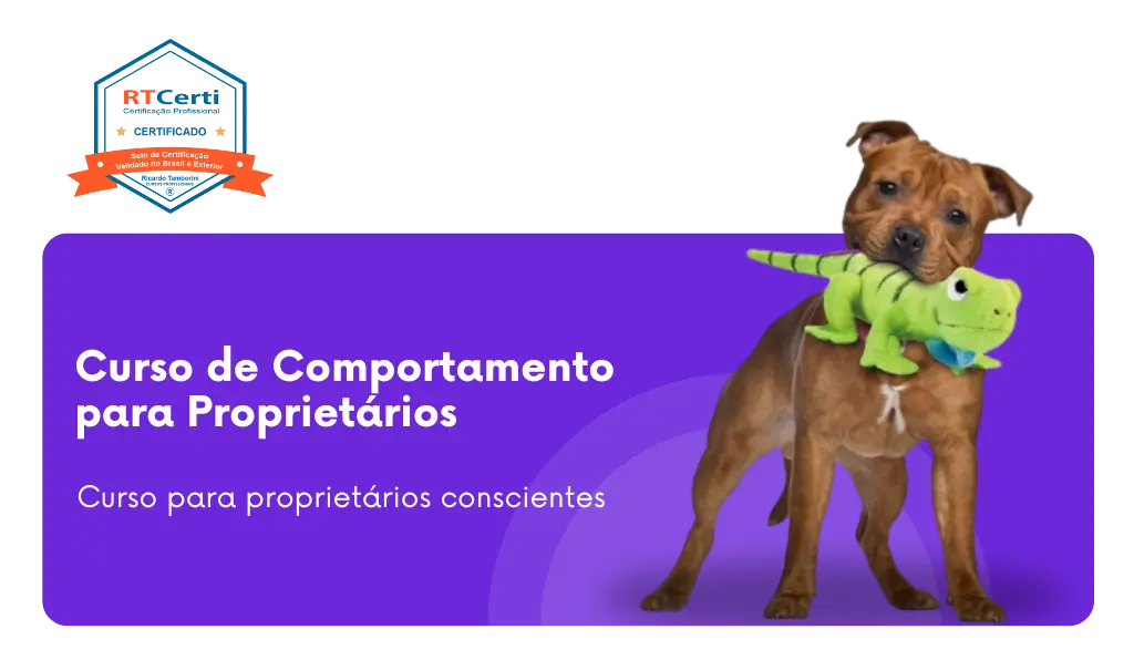 cursos de adestramento e comportamento, Curso de comportamento canino para proprietários, curso de comportamento para proprietários