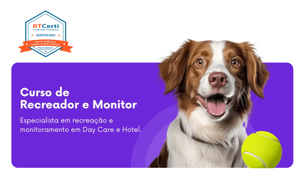 cursos de adestramento e comportamento, curso monitor e recreador de day care e hotel, Curso de Recreador e Monitor de Day Care e Hotel
