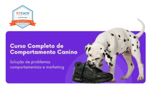 cursos de adestramento e comportamento, Curso Completo de Comportamento Canino, Curso de comportamento canino e marketing