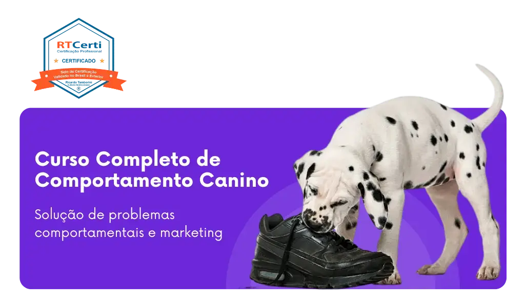 cursos de adestramento e comportamento, Curso Completo de Comportamento Canino, Curso de comportamento canino e marketing