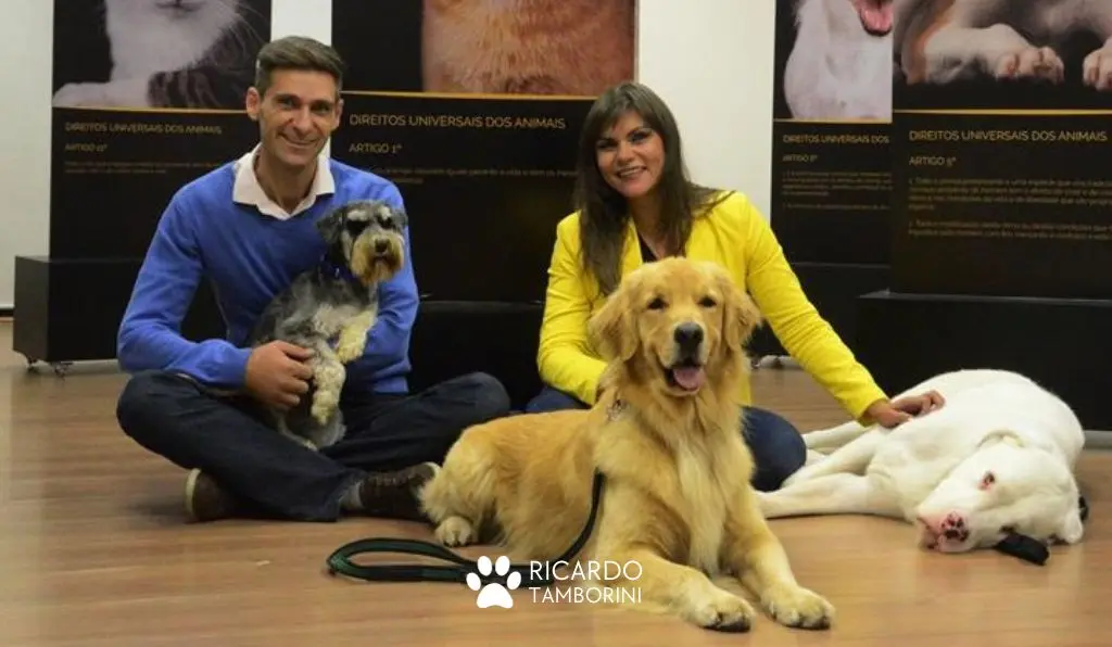 diferencial, programa, meu amigo, pet, ariane, gusmao, ricardo, tamborini