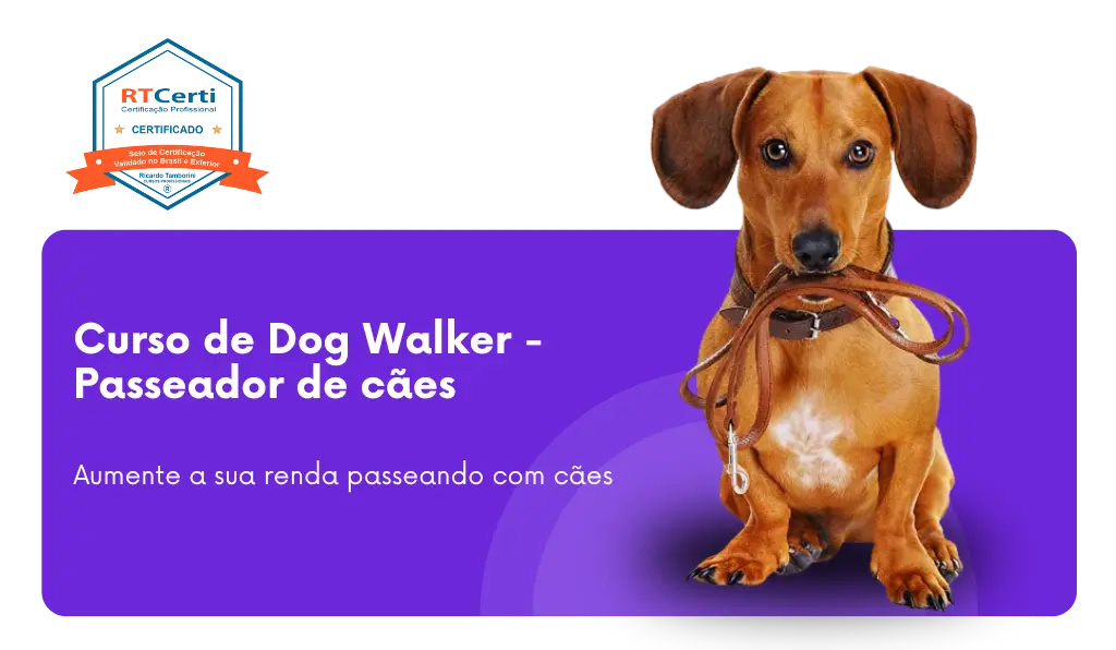 cursos de adestramento e comportamento, Curso de Dog Walker