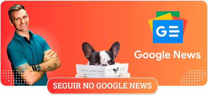 sobre, seguir no google, news