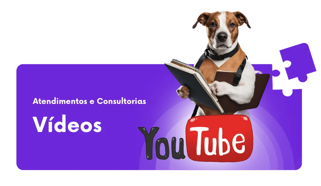 vídeos de cursos de adestramento e comportamento