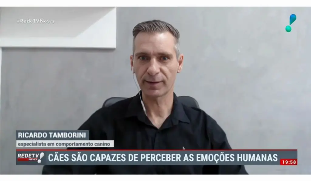 Vídeos de adestramento e comportamento canino, Como as emoções dos donos refletem no comportamento dos cães