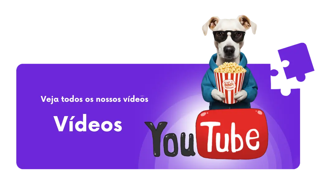 Vídeos de adestramento e comportamento canino
