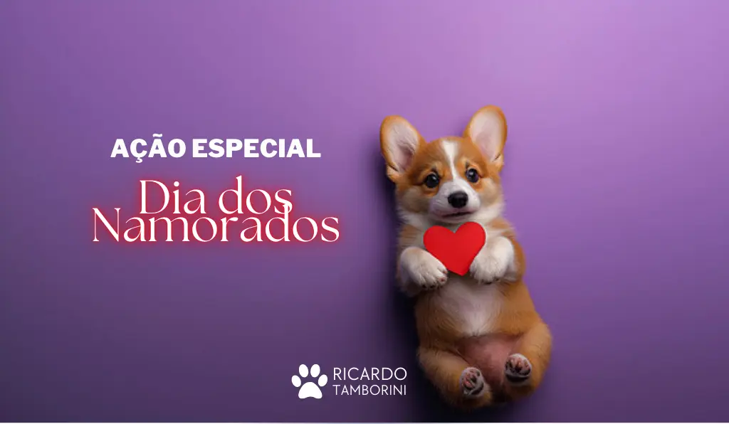 consultoria comportamental para cães com desconto
