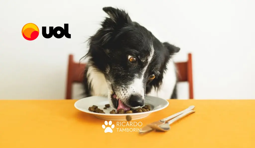 cachorro come rápido ou em excesso