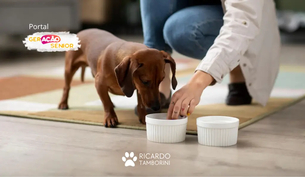 alimentação natural para pet