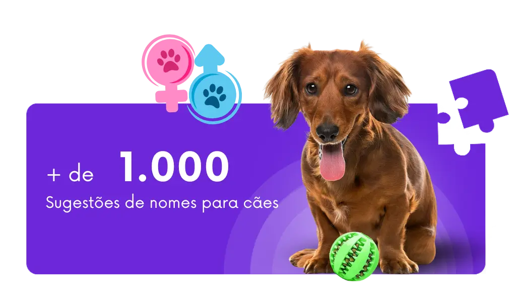 Banner com mais de 1.000 sugestões de nomes para cães de Ricardo Tamborini