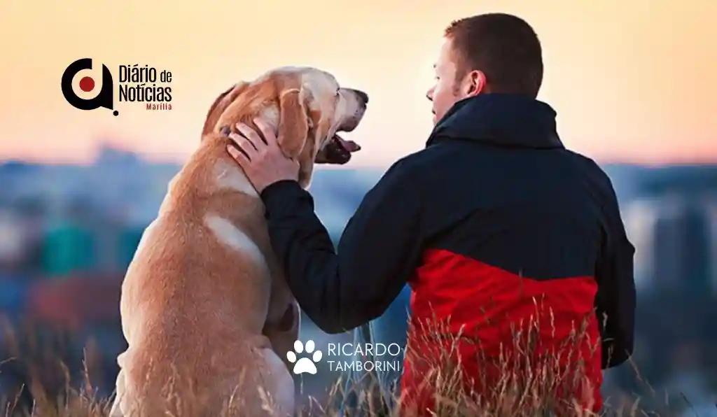 reações caninas aos sentimentos