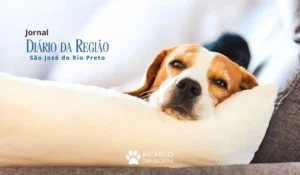 cachorro chora quando você sai de casa