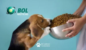 cão come muito ou rápido