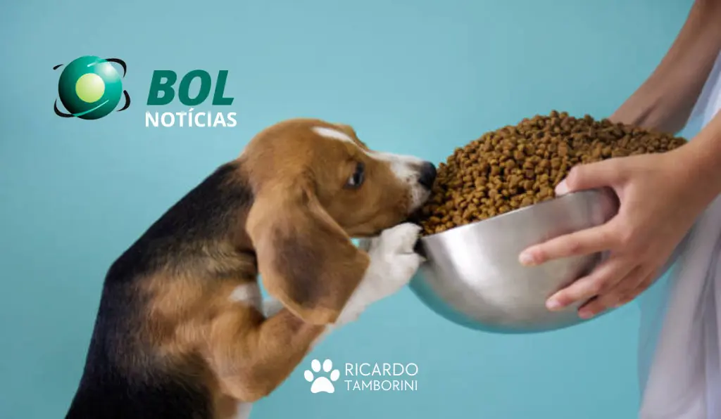 cão come muito ou rápido