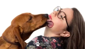 Cachorro lambedor - Saiba porque ele faz isso