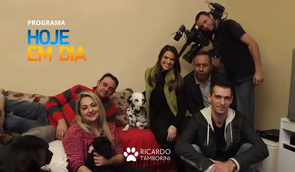 como lidar com os bichos de estimação ciumentos