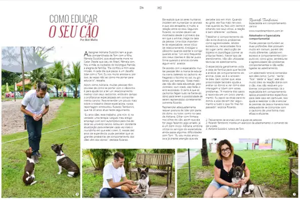 Como Educar o Seu Cão