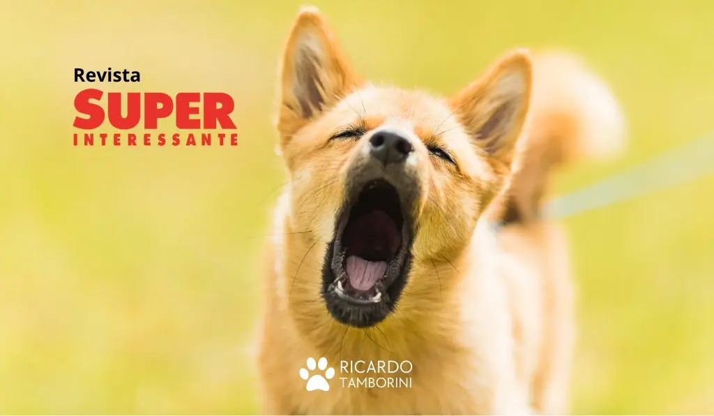  Existem idiomas diferentes entre os animais