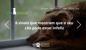 sinais que mostram que o cão pode estar infeliz