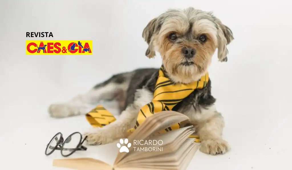 Adestramento para pessoas ocupadas