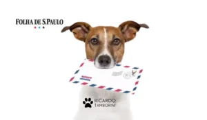 Cachorro late e tenta avançar no carteiro