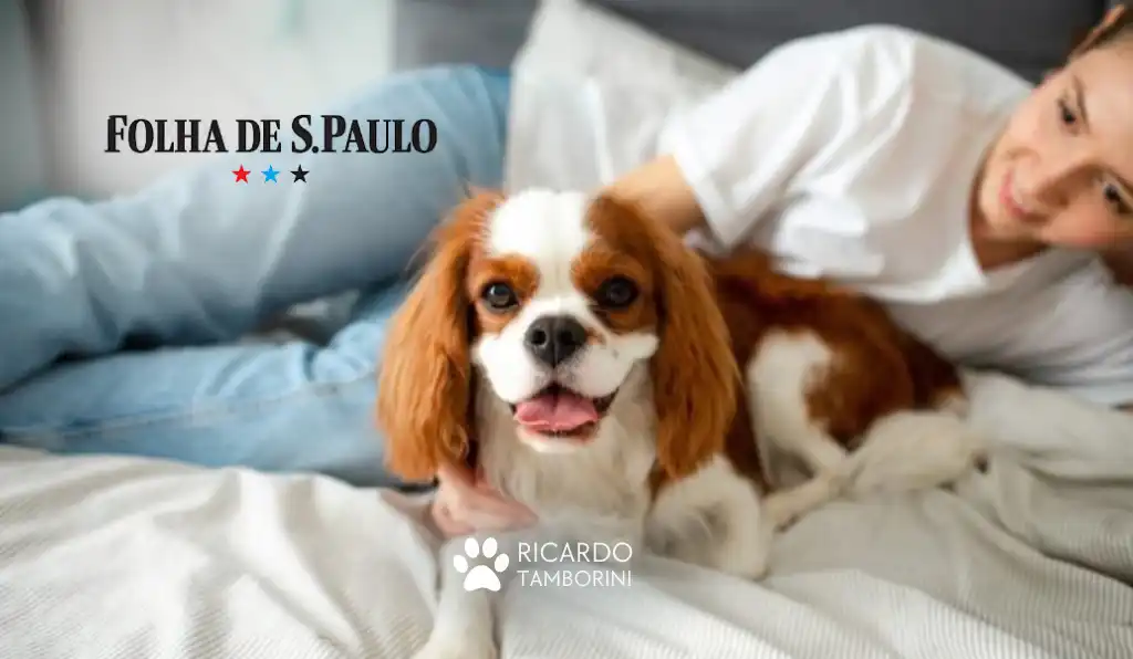 cão deve entender que quem manda é o tutor