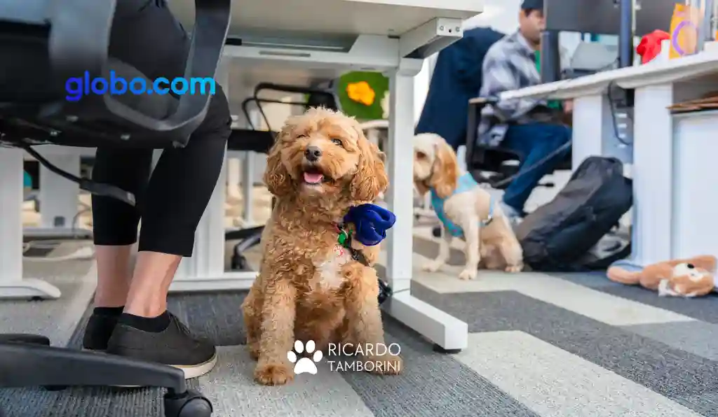 cães no ambiente de trabalho