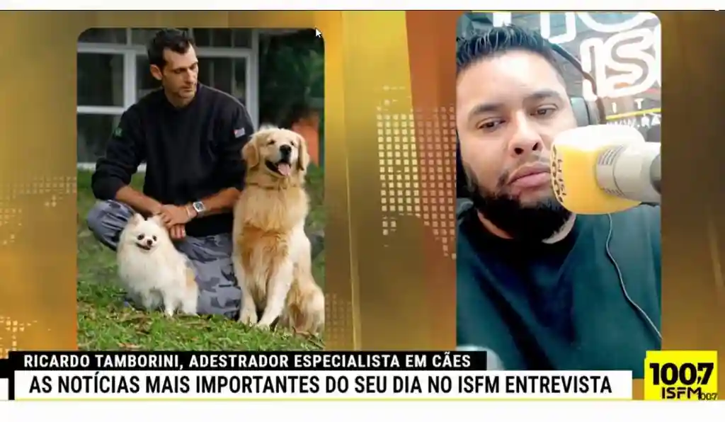 Como as emoções dos donos refletem nos cães