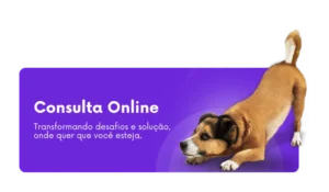 Consulta comportamental online para cães, Consultoria Comportamental Canina - Consulta online