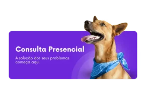 consulta comportamental presencial para cães, Consultoria Comportamental Canina - Consulta Presencial