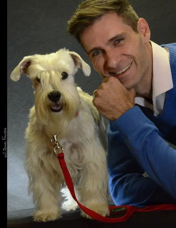 Consultoria especializada para cães com medo de fogos chuva ou trovão