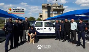 canil da GCM terá treinamento com Ricardo Tamborini
