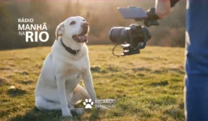 treinamento de cães para campanhas publicitárias