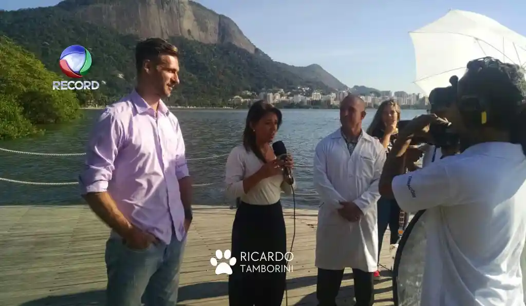 Pit bulls atacam e matam idoso