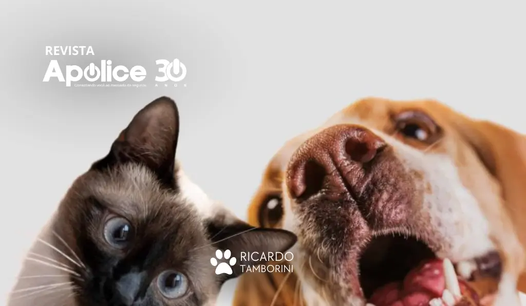 seguros e assistências para pets