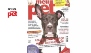 como lidar com cães agressivos