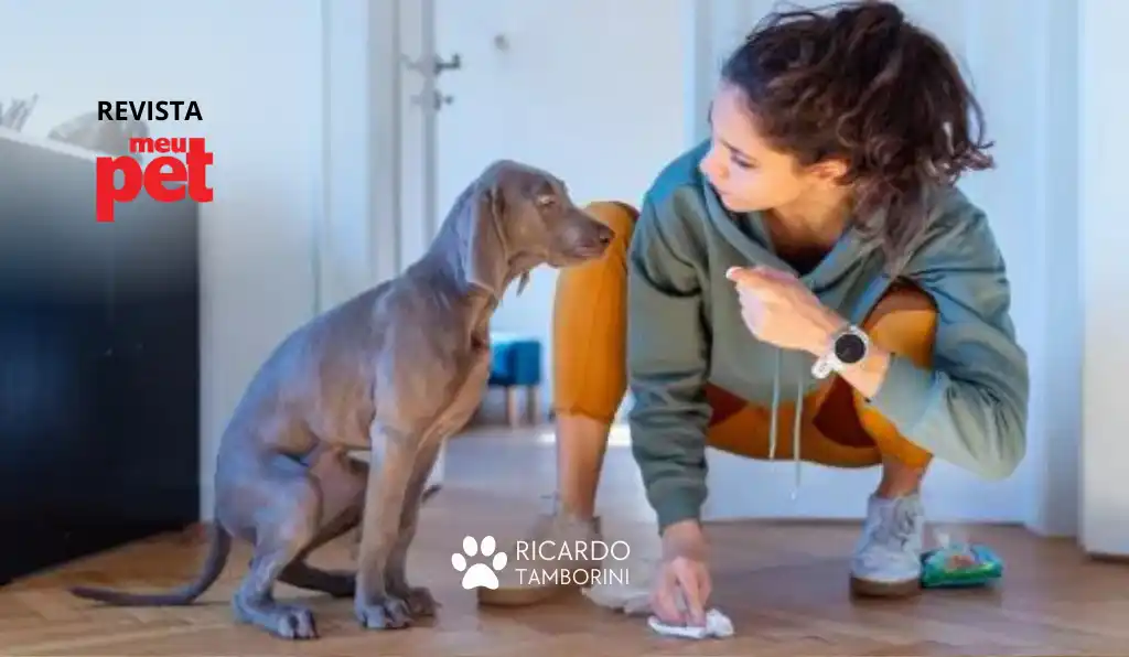 dar bronca no cachorro quando ele faz xixi no lugar errado
