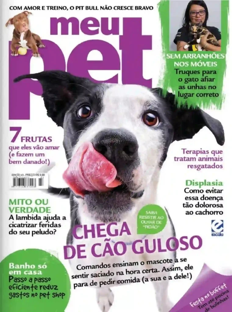 Chega de cão guloso