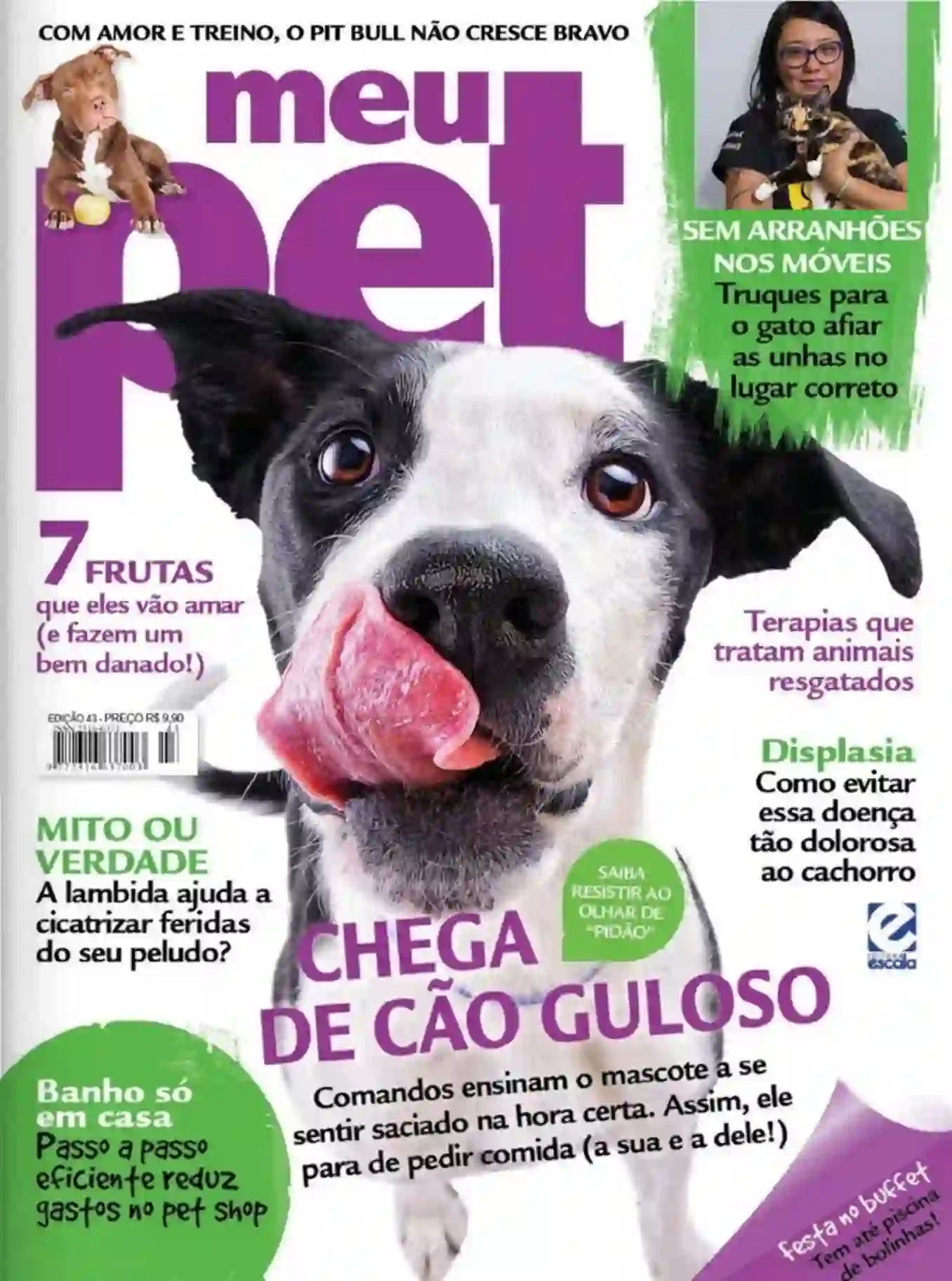Chega de cão guloso