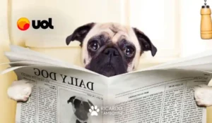 Por que alguns animais comem cocô