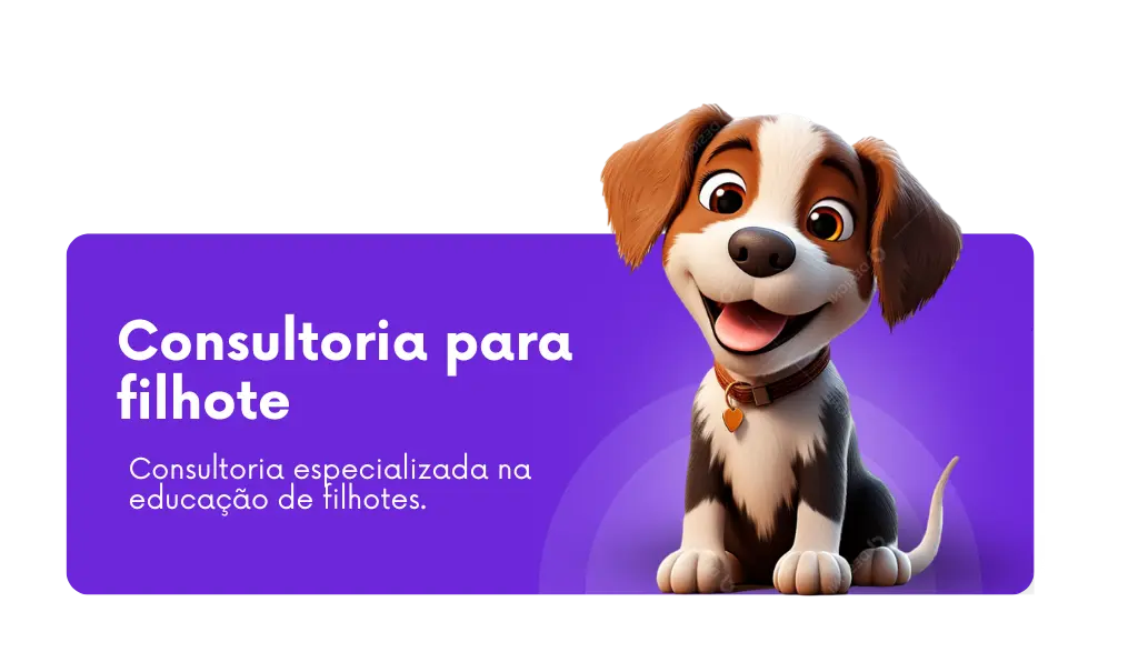 Consultoria Comportamental para Filhote, Consultoria para educação de filhote
