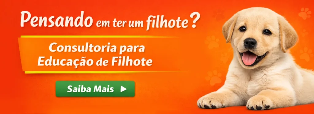Treinamento para filhotes com Ricardo Tamborini – orientação para educação e comportamento